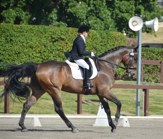 Para Equestrian Dressage for the First Time at the Australian Dressage